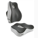 Encosto e Assento para Apoio Lombar